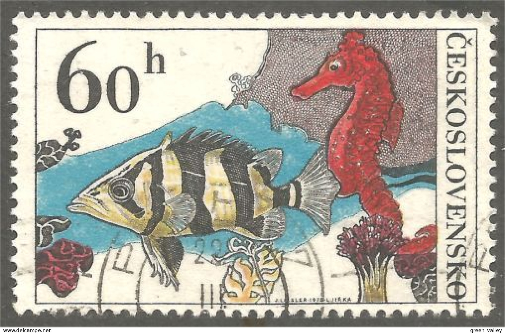 XW01-1748 Czechoslovakia Hippocampe Seepferdchen Seahorse - Vissen