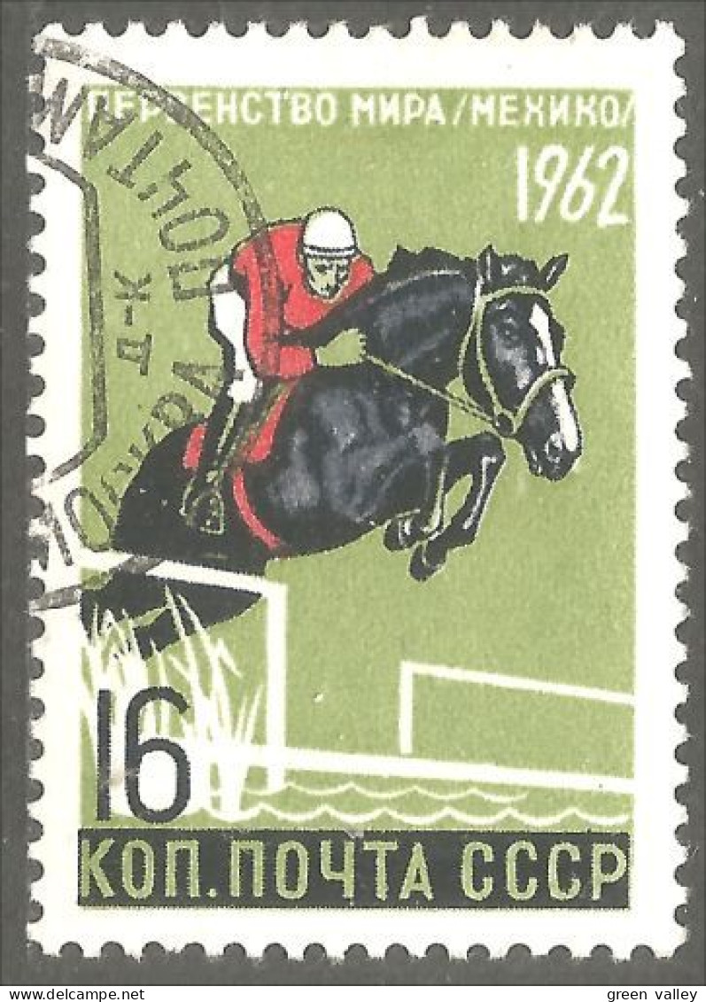 XW01-1734 Russia Horse Jumping Horse Pferd Paard Pferd Caballo - Jumping