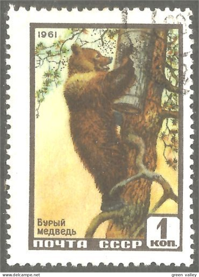 XW01-1729 Russia Ours Oso Bear Orso Bar - Ours