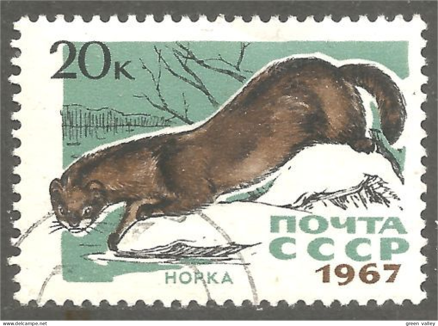 XW01-1719 Russia Mink Vison Nerz Visone - Other & Unclassified