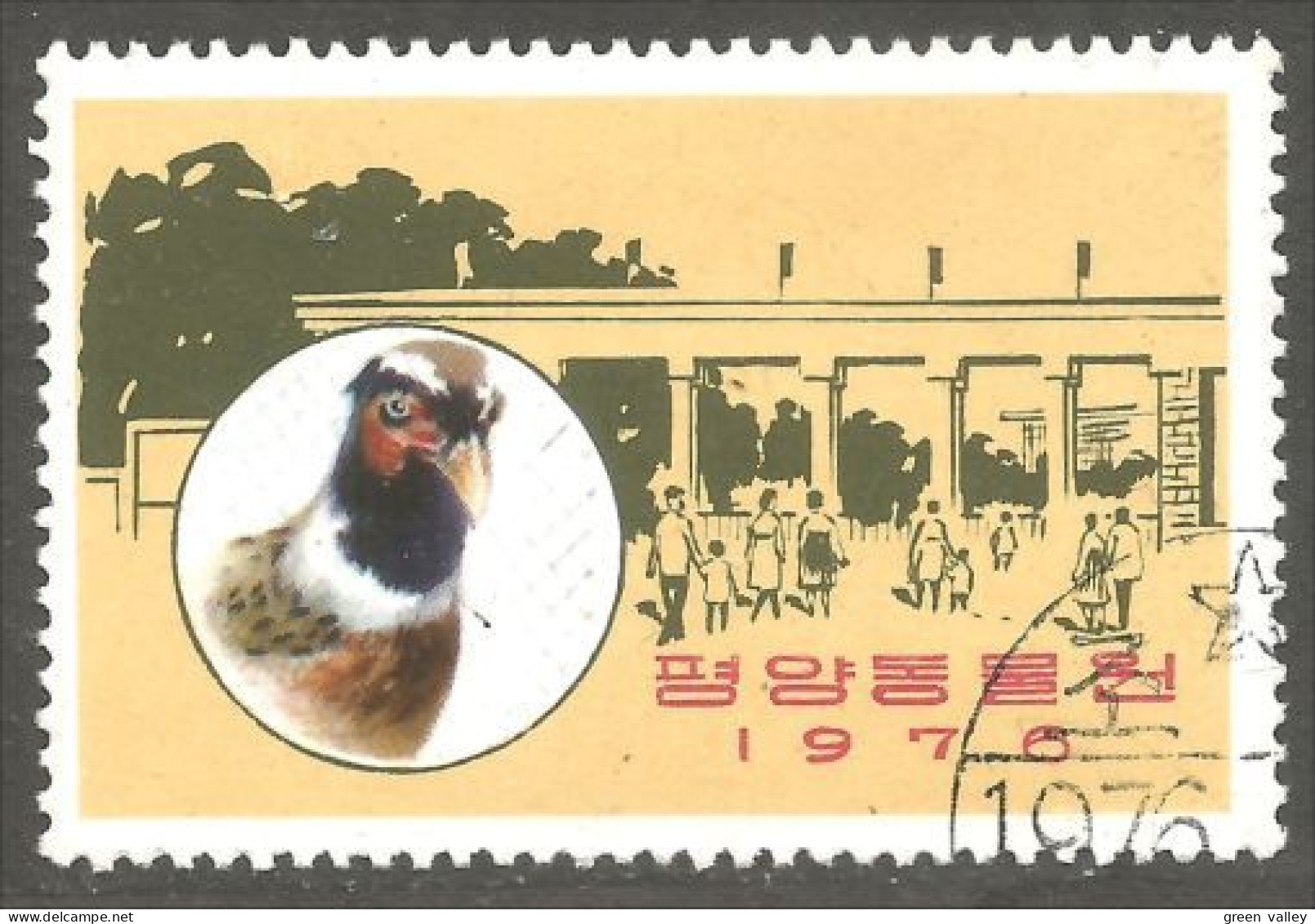 XW01-1647 Korea Pheasant Faisan Bird Vogel Uccello Oiseau - Gallinacées & Faisans