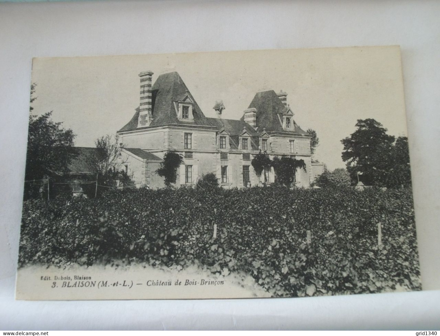 49 7830 CPA - 49 BLAISON - CHATEAU DE BOIS BRINCON - Châteaux