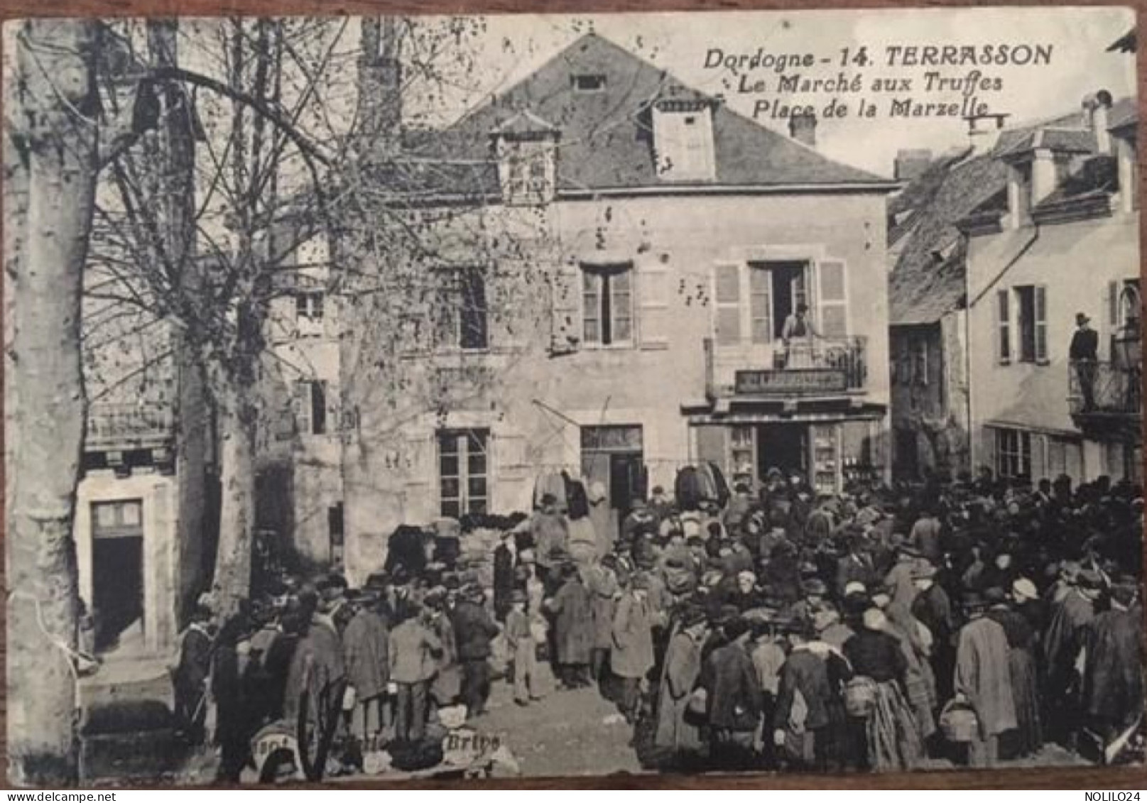 Pa 24 Dordogne, Terrasson, Le Marché Aux Truffes, Place De La Marzelle,animée, Enseigne Labrousse, éd Bessot/Guionie - Terrasson-la-Villedieu