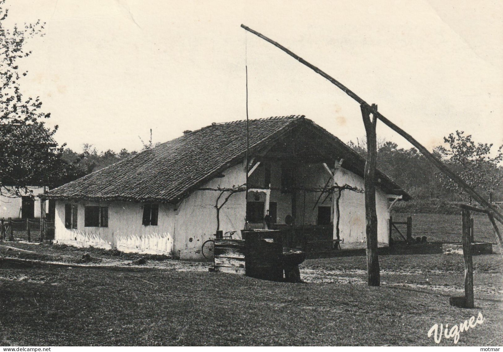 LES LANDES D'AUTREFOIS : Maison Landaise. Puits à Balancier-VIGNES - Altri & Non Classificati