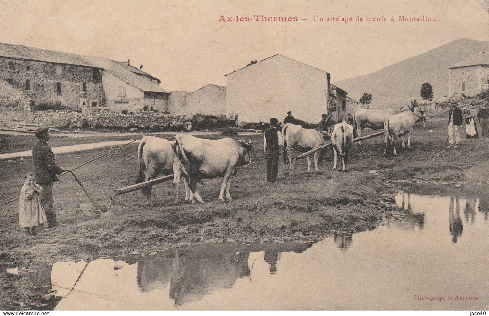 Montaillou Près D'Ax-les-Thermes, Attelage De Boeufs, Document Très Rare - Andere & Zonder Classificatie