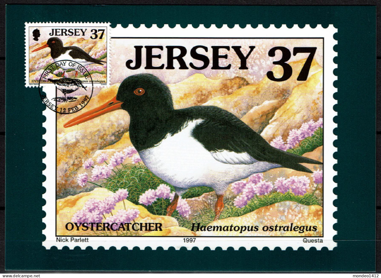 Jersey - 1997 - Oiseau-Bird - Scholekster - The Eurasian Oystercatcher - L'Huîtrier Pie - FDC - Jersey