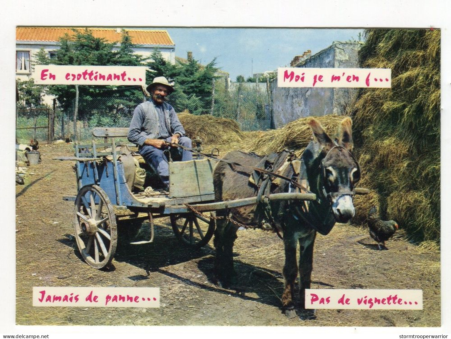 ânes - En Trottinant Moi Je M'en F... Jamais De Panne Pas De Vignette - âne - Humour