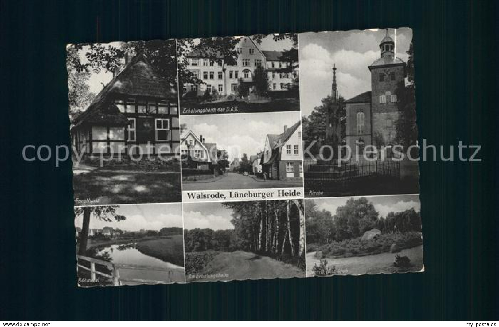 72219052 Walsrode Lueneburger Heide Hermann Loens- Grab Kirche Forsthaus Altenbo - Walsrode