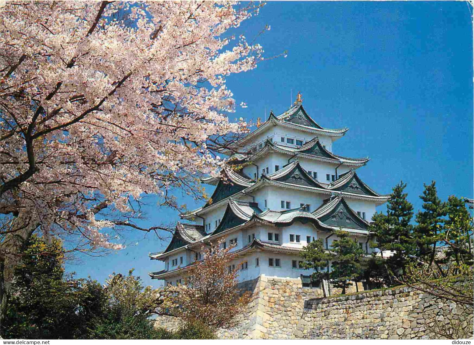 Japon - Nagoya - Nagoya Castle During The Cherry Blossom Season - Cerisiers En Fleurs - Nippon - Japan - CPM - Voir Timb - Nagoya