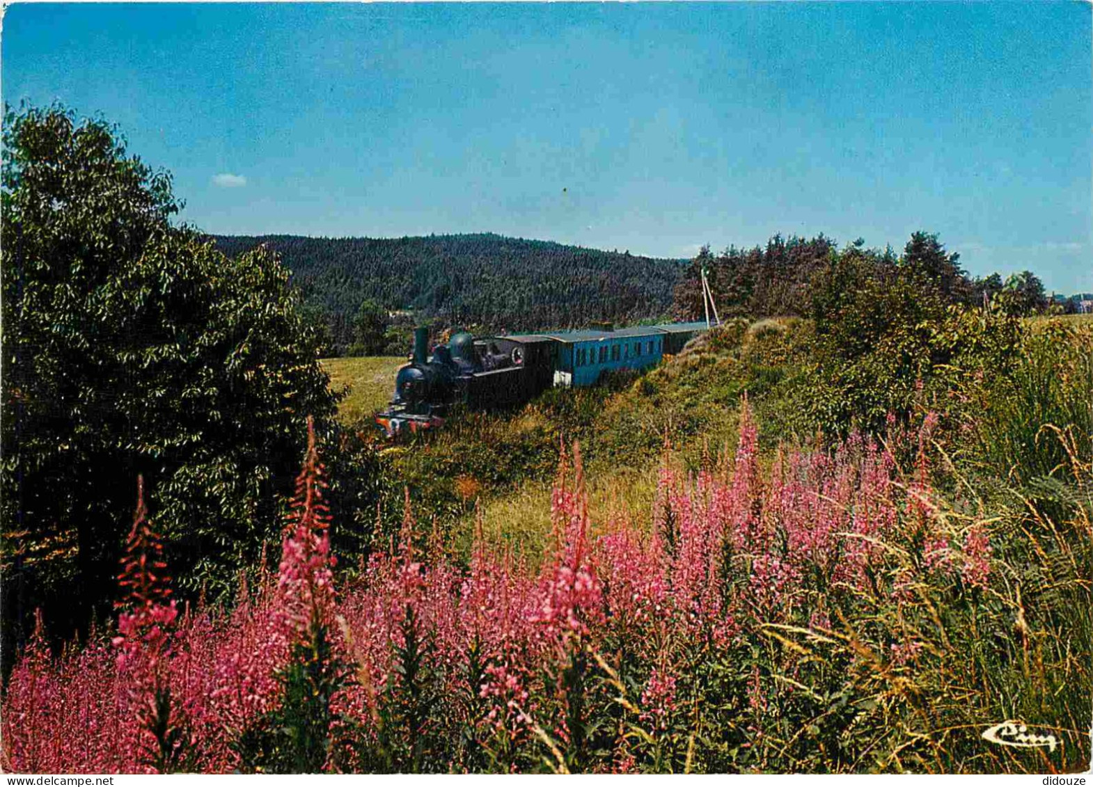 Trains - Trains - Ardèche - C'est Un Petit Train Départemental - CPM - Voir Scans Recto-Verso - Trains