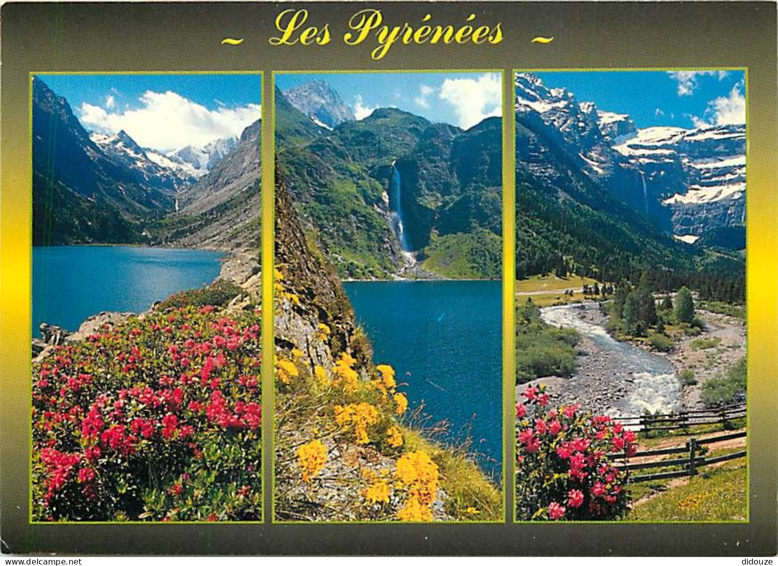 65 - Hautes Pyrénées - Multivues - Fleurs - CPM - Voir Scans Recto-Verso - Sonstige & Ohne Zuordnung