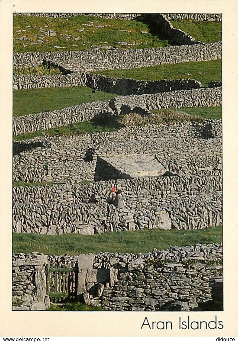 Irlande - Galway - Aran Islands - Murets En Pierres - Ireland - CPM - Voir Scans Recto-Verso - Galway