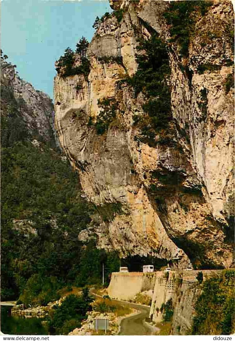 48 - Les Gorges Du Tarn - Entrée Au Cirque Des Baumes - CPM - Voir Scans Recto-Verso - Gorges Du Tarn