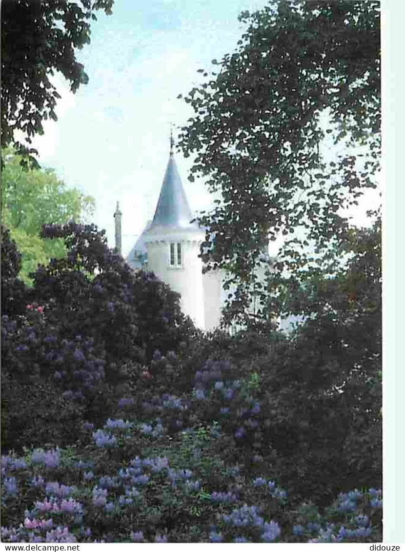 23 - Boussac - Le Château De Poinsouze - Fleurs - Carte Neuve - CPM - Voir Scans Recto-Verso - Boussac
