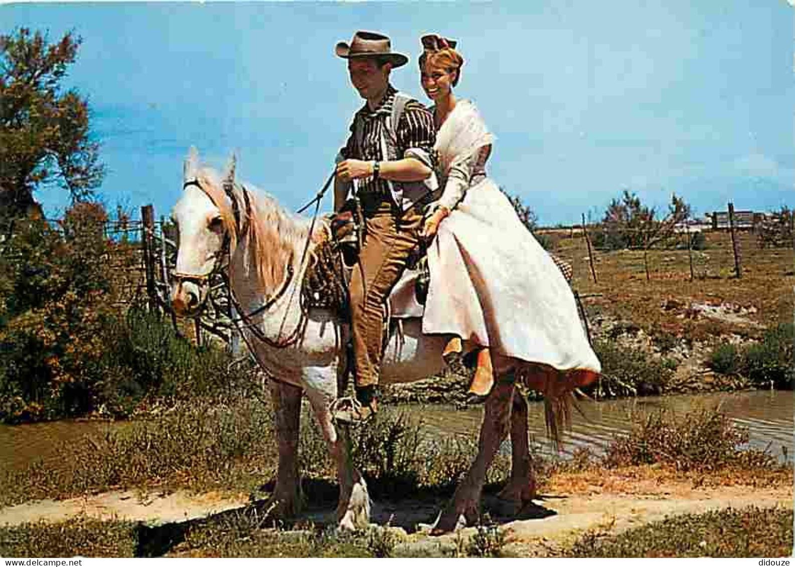 Animaux - Chevaux - Camargue - Gardian Et Sa Mireille - Voir Scans Recto Verso  - Pferde