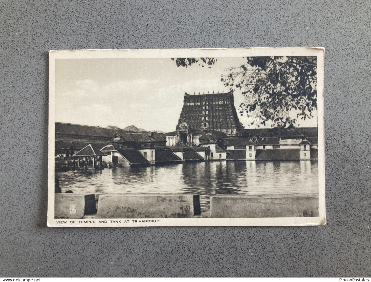 View Of Temple And Tank At Trivandrum Carte Postale Postcard - Indien