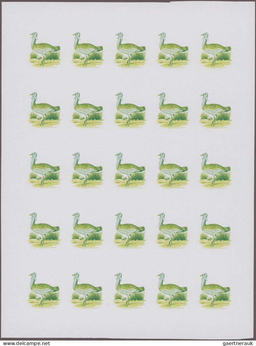 Morocco: 1988, Progressive Proofs Set Of Sheets For The Issue BIRDS. The Issue C - Maroc (1956-...)