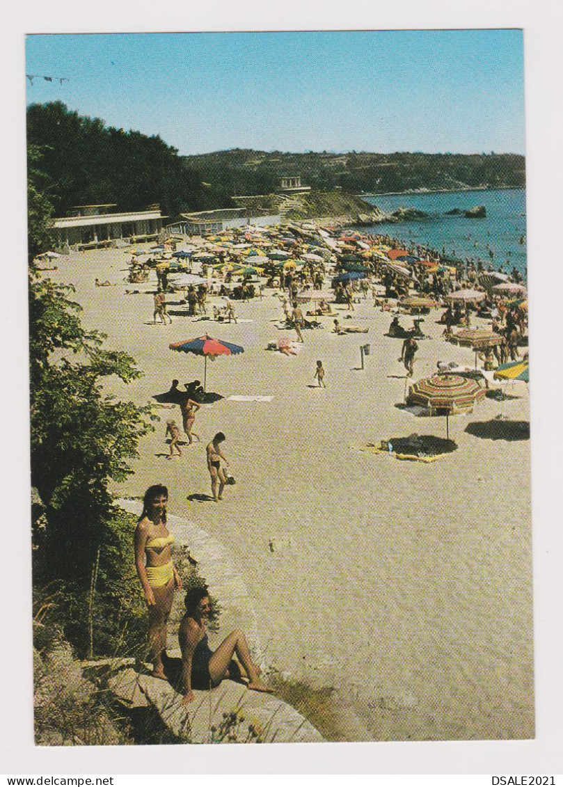 Two Sexy Women, Lady With Swimwear, Bikini, Summer Beach Scene, Vintage View Photo Postcard Pin-Up RPPc AK (1319) - Pin-Ups