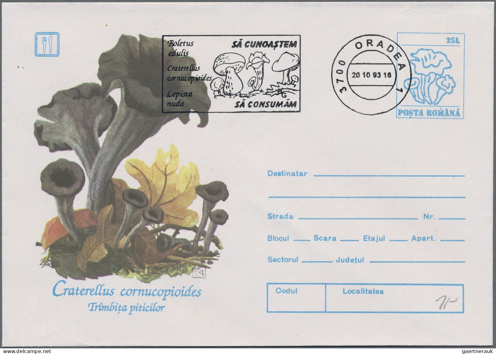 Thematics: Mushrooms: 1978/2000, Collection Of Apprx. 300 Thematic Entires Of Va - Pilze