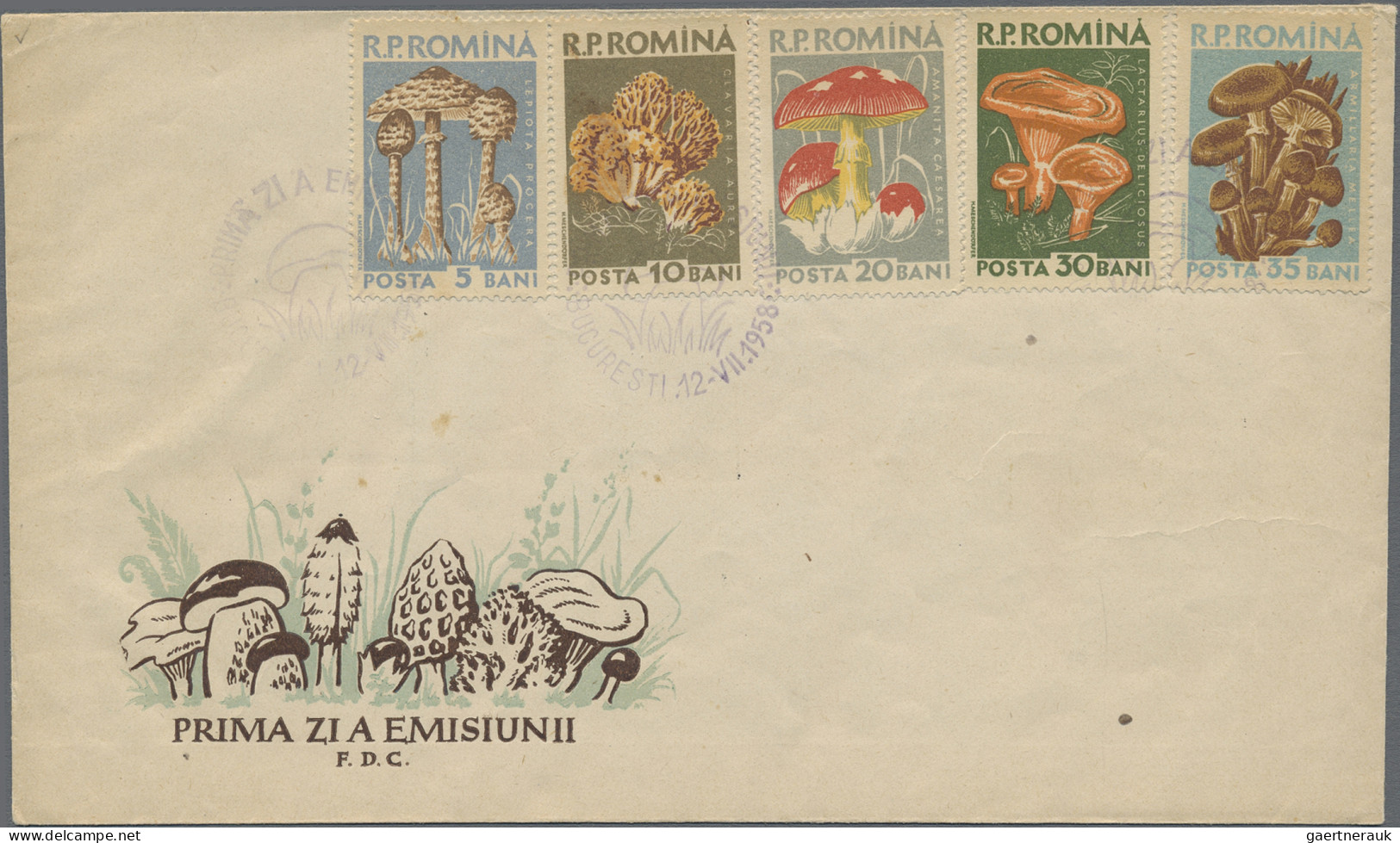 Thematics: mushrooms: 1978/2000, collection of apprx. 300 thematic entires of va