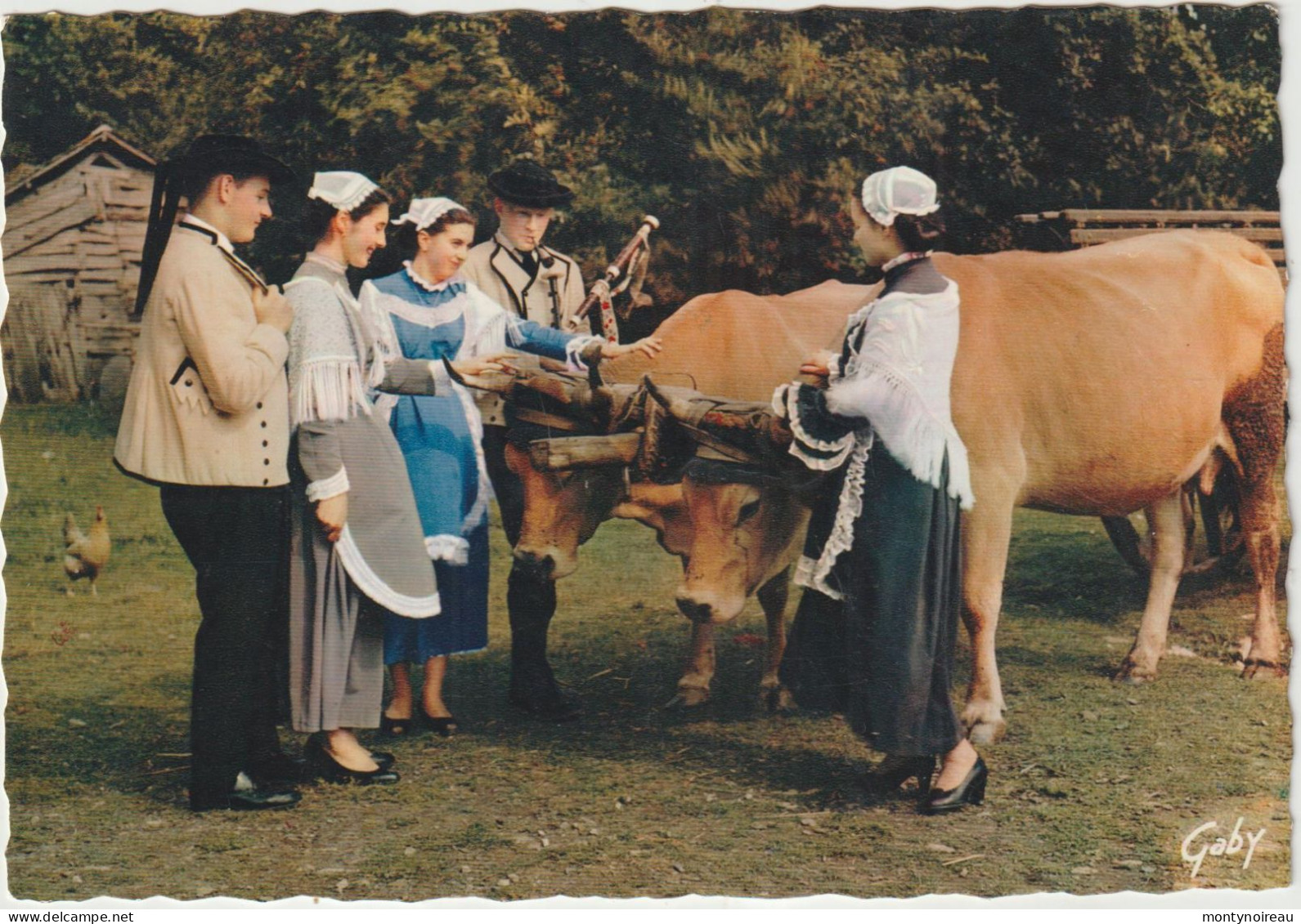 Région : La  Bretagne :  Cercle De  REDON , Vache - Bretagne