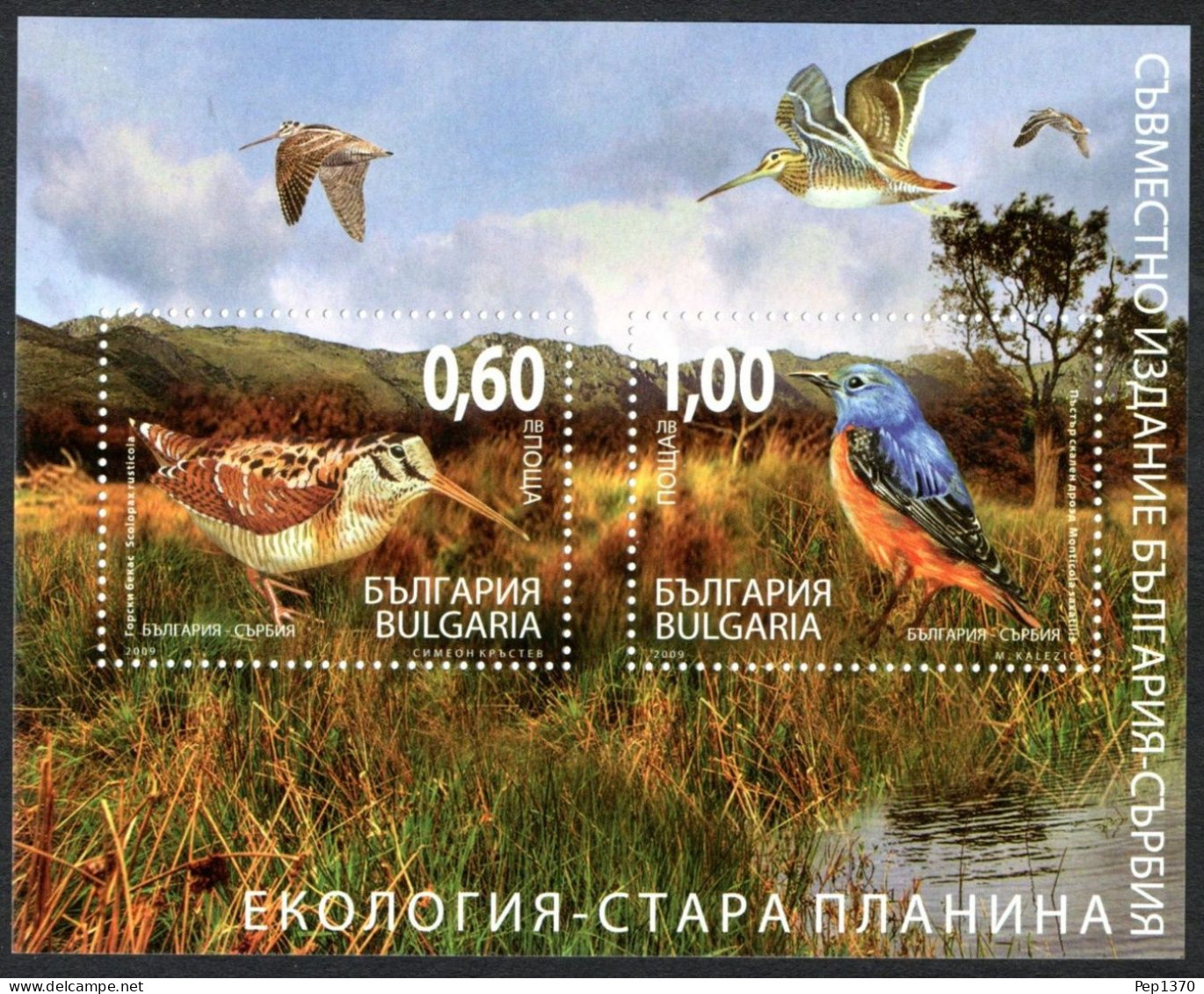 BULGARIA 2009 - AVES - PAJAROS - YVERT HB-252** - Unused Stamps