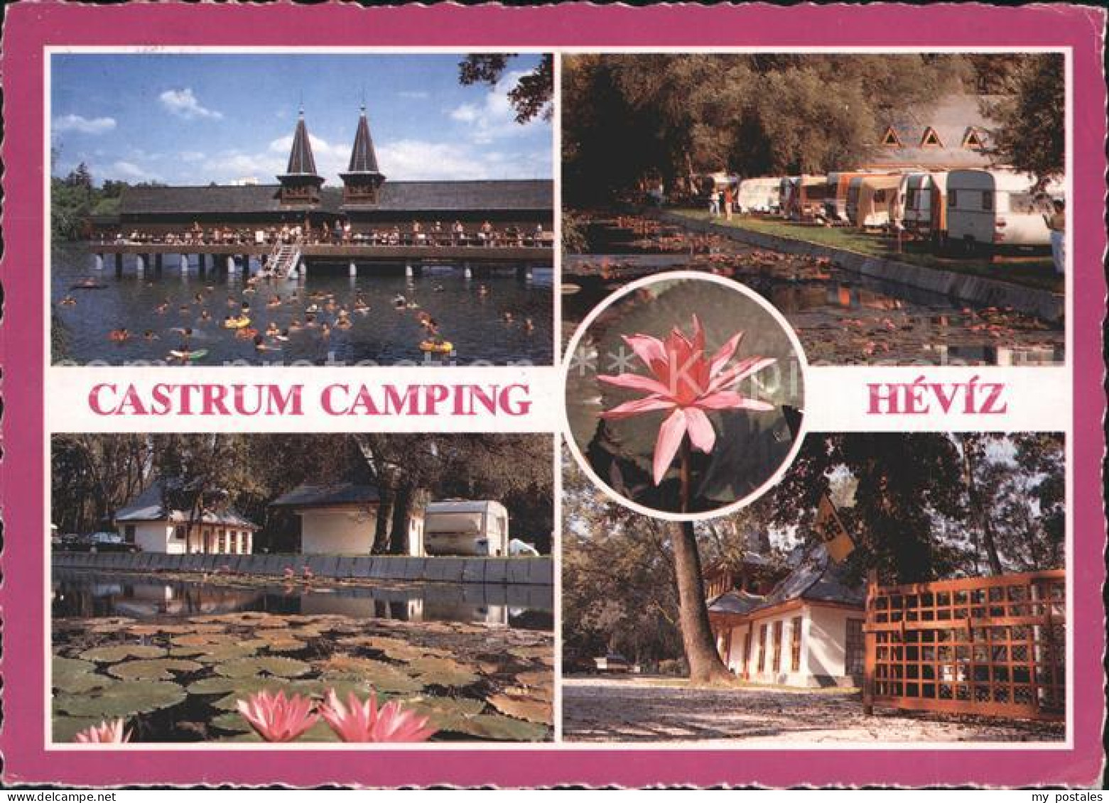 72210732 Heviz Castrum Camping Freibad Campingplatz Seerosenteich Heviz - Hongrie