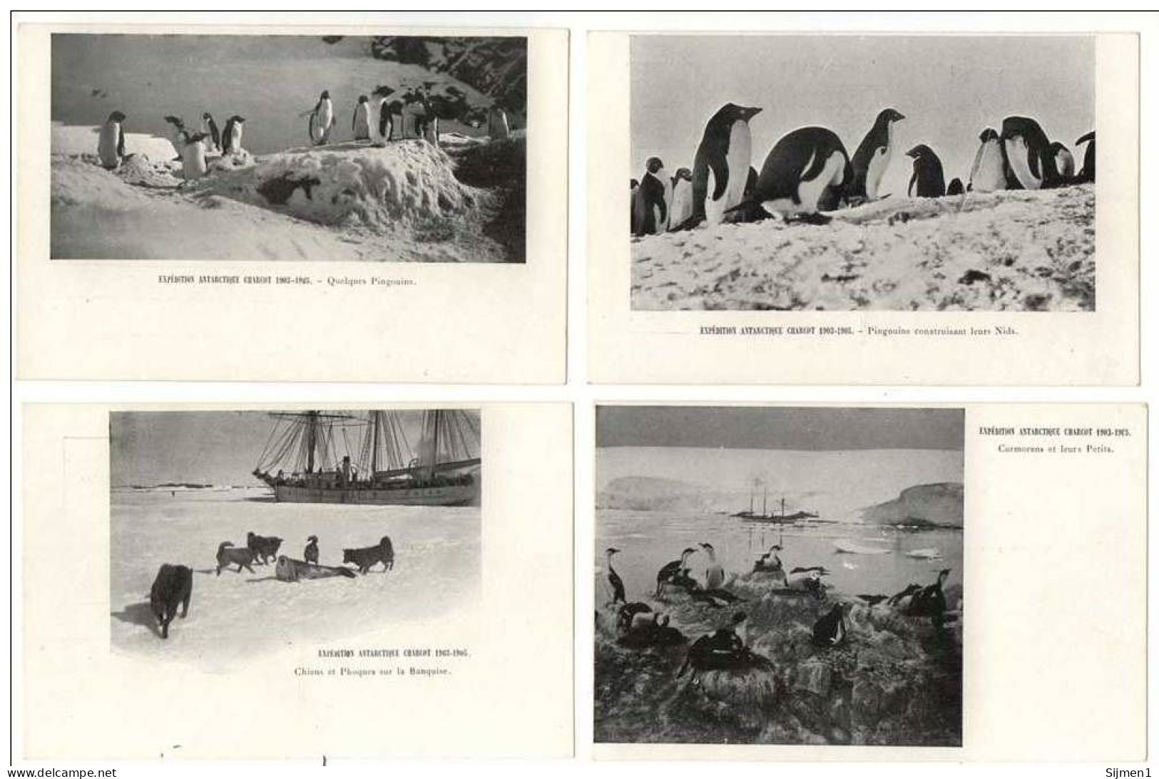 Taaf - Charcot - Le Francais - Pole Sud - Antarctique - Expedition Polaire - TAAF : Franz. Süd- Und Antarktisgebiete