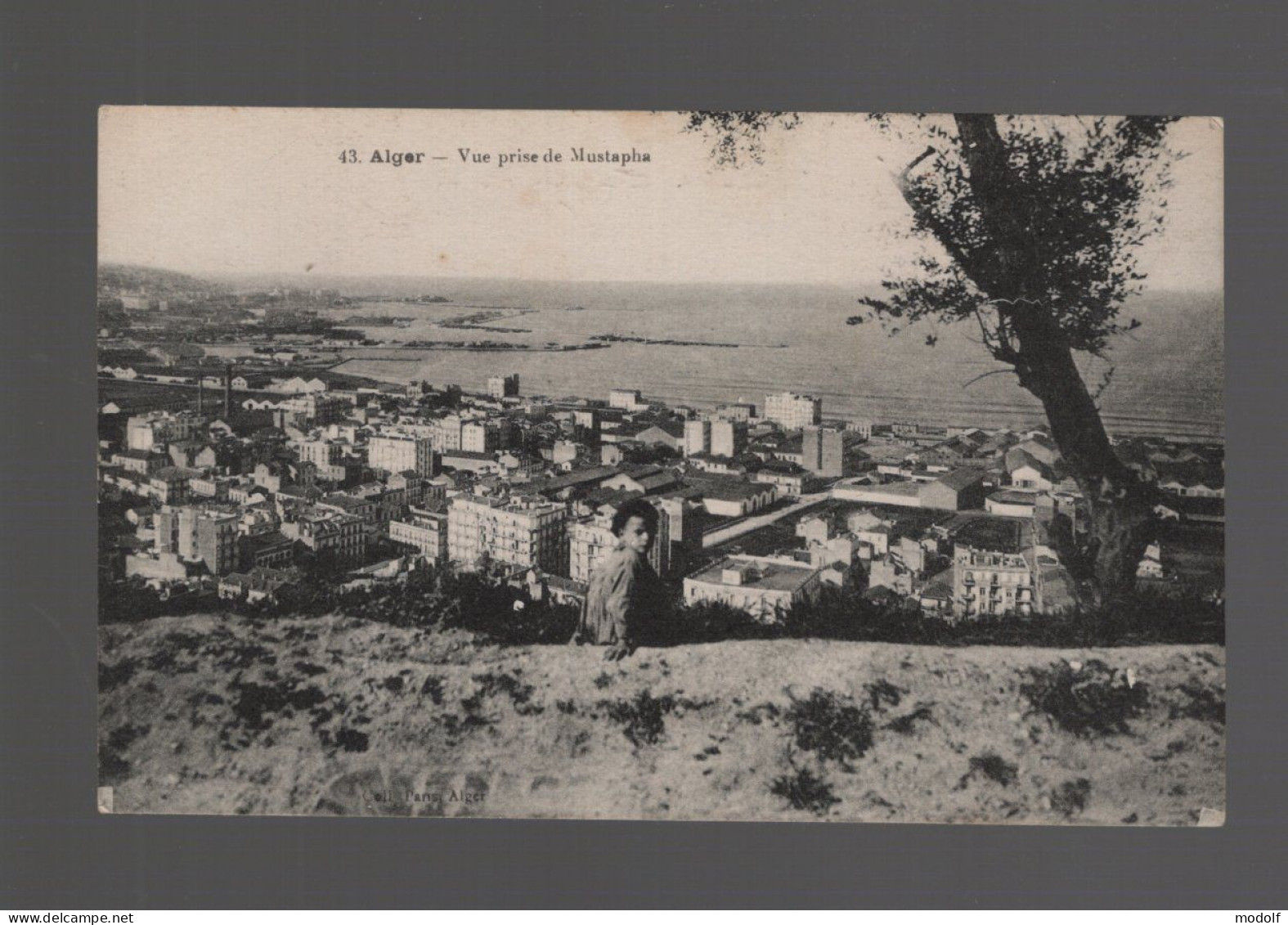 CPA - Algérie - N°43 - Alger - Vue Prise De Mustapha - Animée - Circulée - Algerien