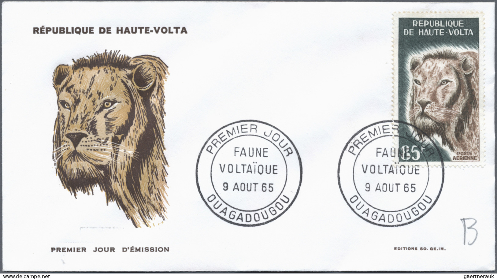 Thematics: Animals-predacious Cats: 1890/1980 (ca.), LIONS, Balance Of Apprx. 33 - Otros & Sin Clasificación