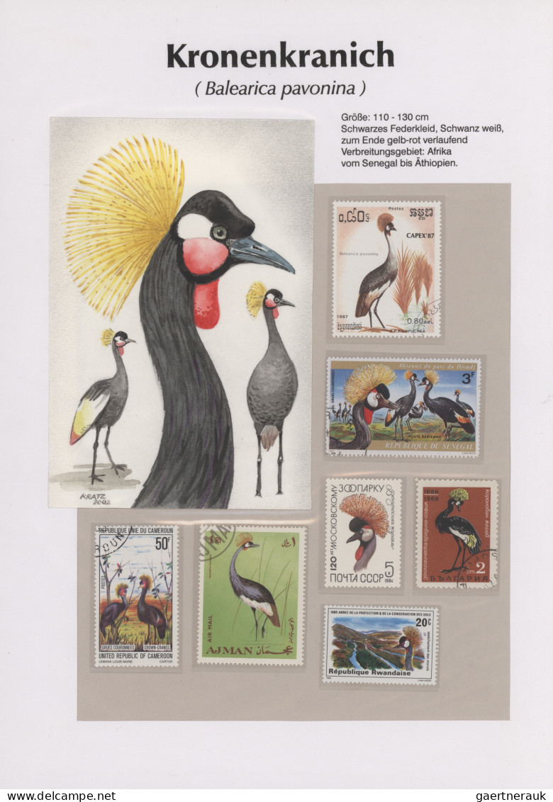 Thematics: Animals-birds: 1960/2000 (ca.), Comprehensive Thematic Collection Wit - Autres & Non Classés