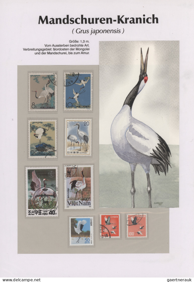 Thematics: animals-birds: 1960/2000 (ca.), comprehensive thematic collection wit