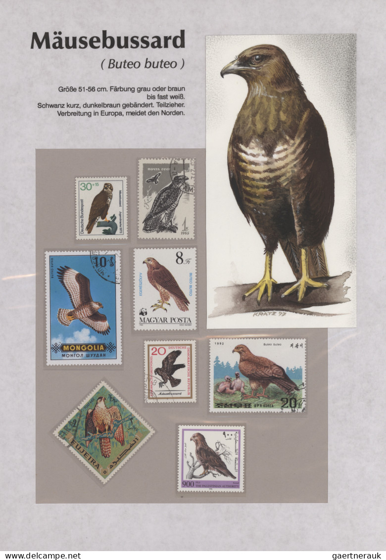 Thematics: animals-birds: 1960/2000 (ca.), comprehensive thematic collection wit