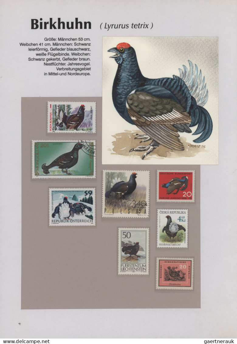 Thematics: animals-birds: 1960/2000 (ca.), comprehensive thematic collection wit