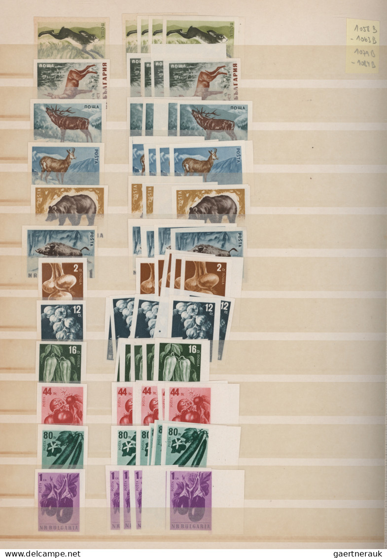 Bulgaria: 1945/1995, Enormous Stock Of Bulgarian Post-war Stamps In Both Conditi - Gebraucht