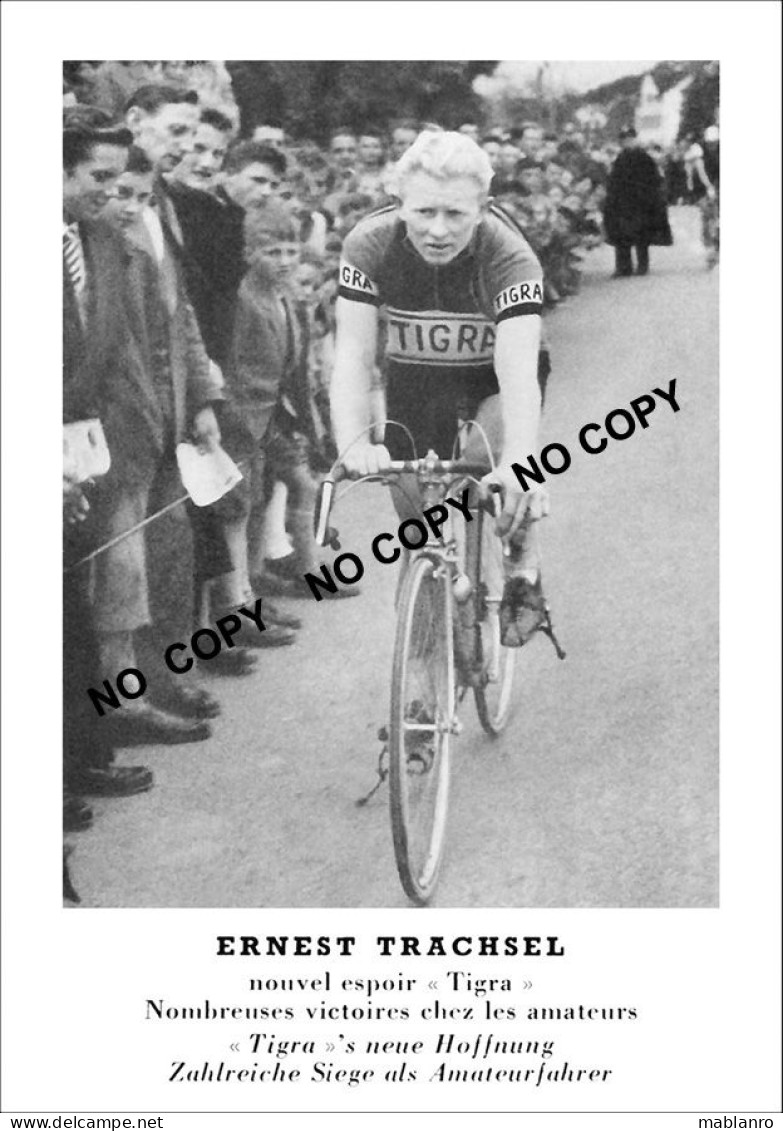 PHOTO CYCLISME REENFORCE GRAND QUALITÉ ( NO CARTE ), ERNEST TRASCHEL TEAM TIGRA 1954 - Radsport