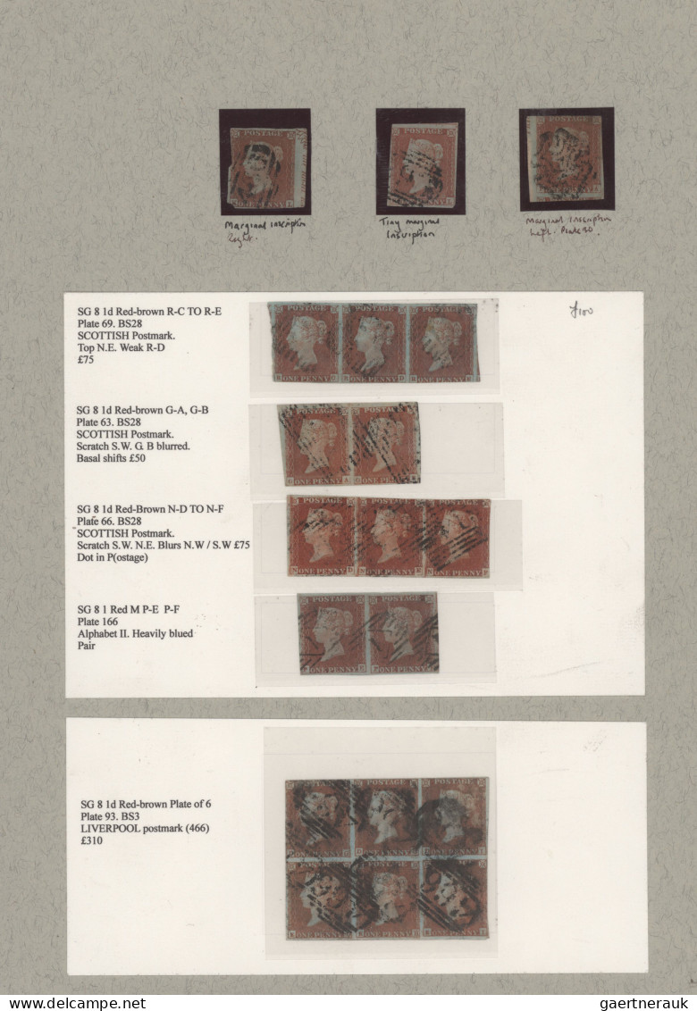 Great Britain: 1841-53 "Penny Red" imperforate: Specialized collection of more t