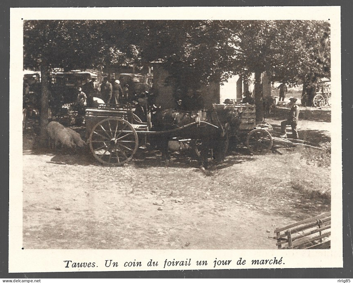 1935  --  TAUVES . UN COIN DU FOIRAIL UN JOUR DE MARCHE . 4B185 - Non Classés