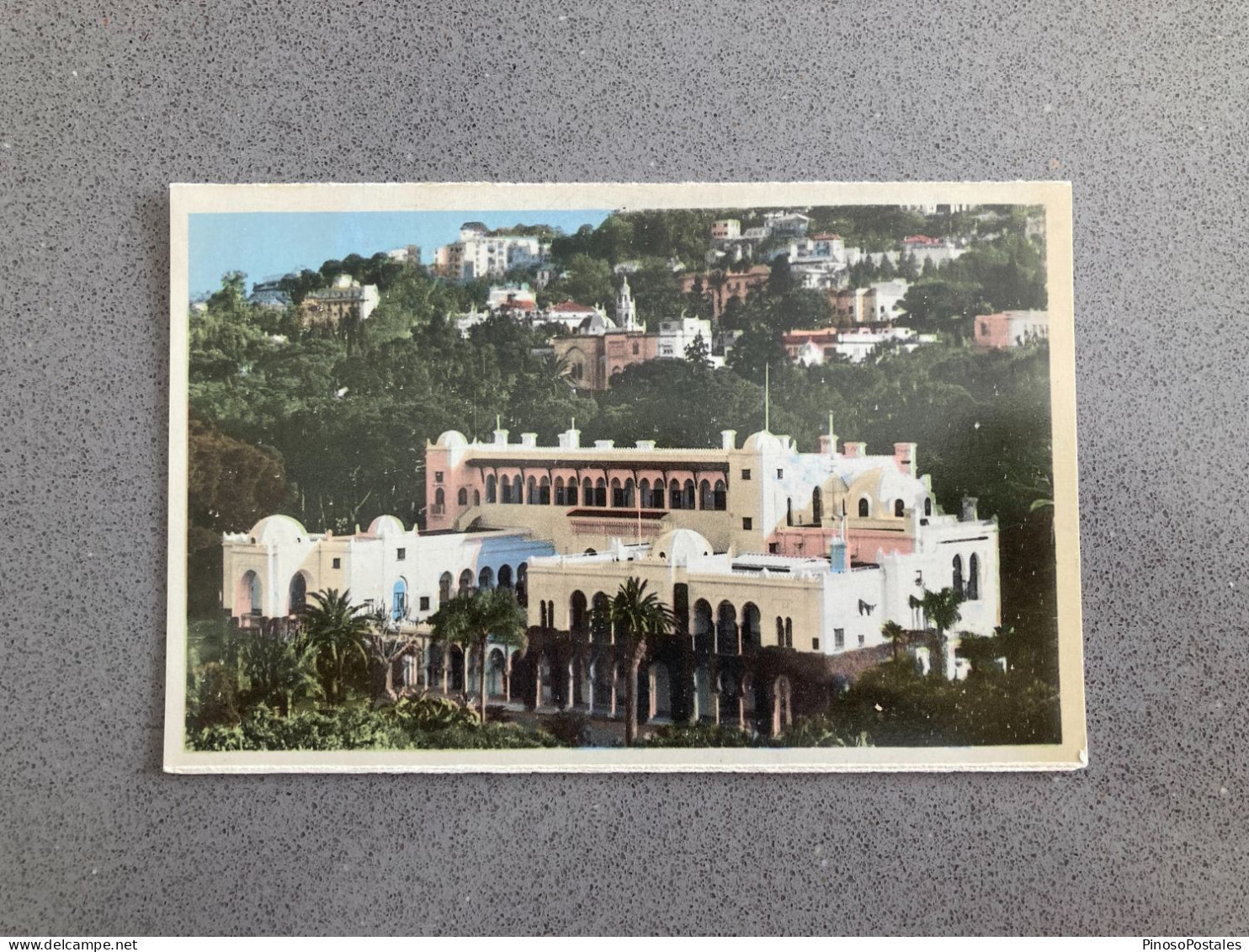 Alger Le Palais D'Ete Du Gouverneur General Carte Postale Postcard - Algerien