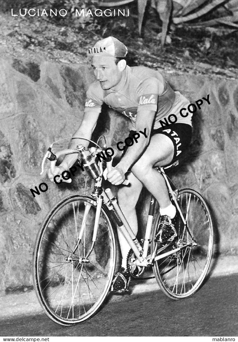 PHOTO CYCLISME REENFORCE GRAND QUALITÉ ( NO CARTE ), LUCIANO MAGGINI TEAM ATALA 1954 - Radsport