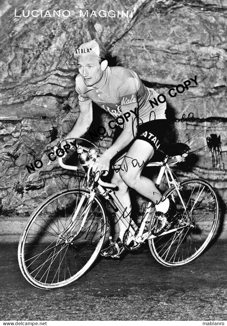 PHOTO CYCLISME REENFORCE GRAND QUALITÉ ( NO CARTE ), LUCIANO MAGGINI TEAM ATALA 1954 - Radsport