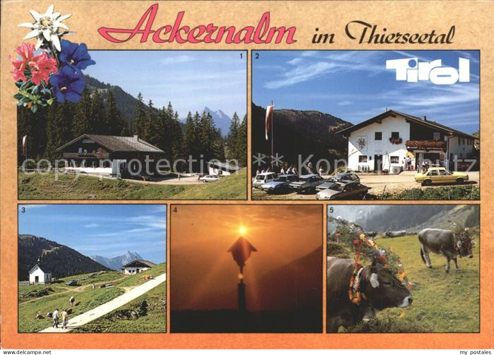72207559 Thiersee Alpengasthof Und Sennerei Ackernalm Guttertspitze Wegekreuz Im - Sonstige & Ohne Zuordnung