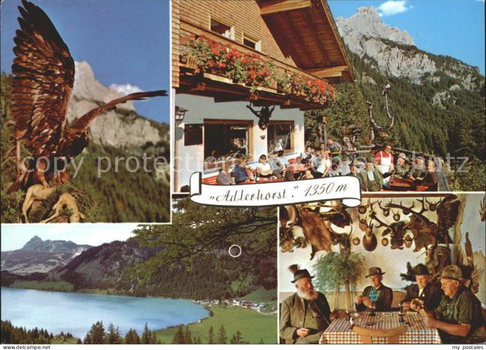 72207553 Nesselwaengle Tirol Alpengasthof Adlerhorst Terrasse Gaststube See Ness - Sonstige & Ohne Zuordnung