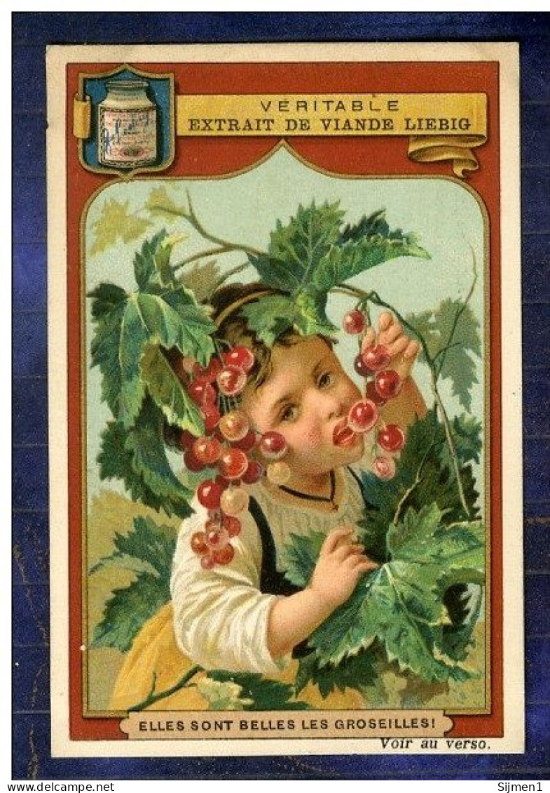 Série 6 Chromos Liebig Set S175 Enfants & Fruits & Children Old Trade Cards 1886 Chromo Old Trade Card