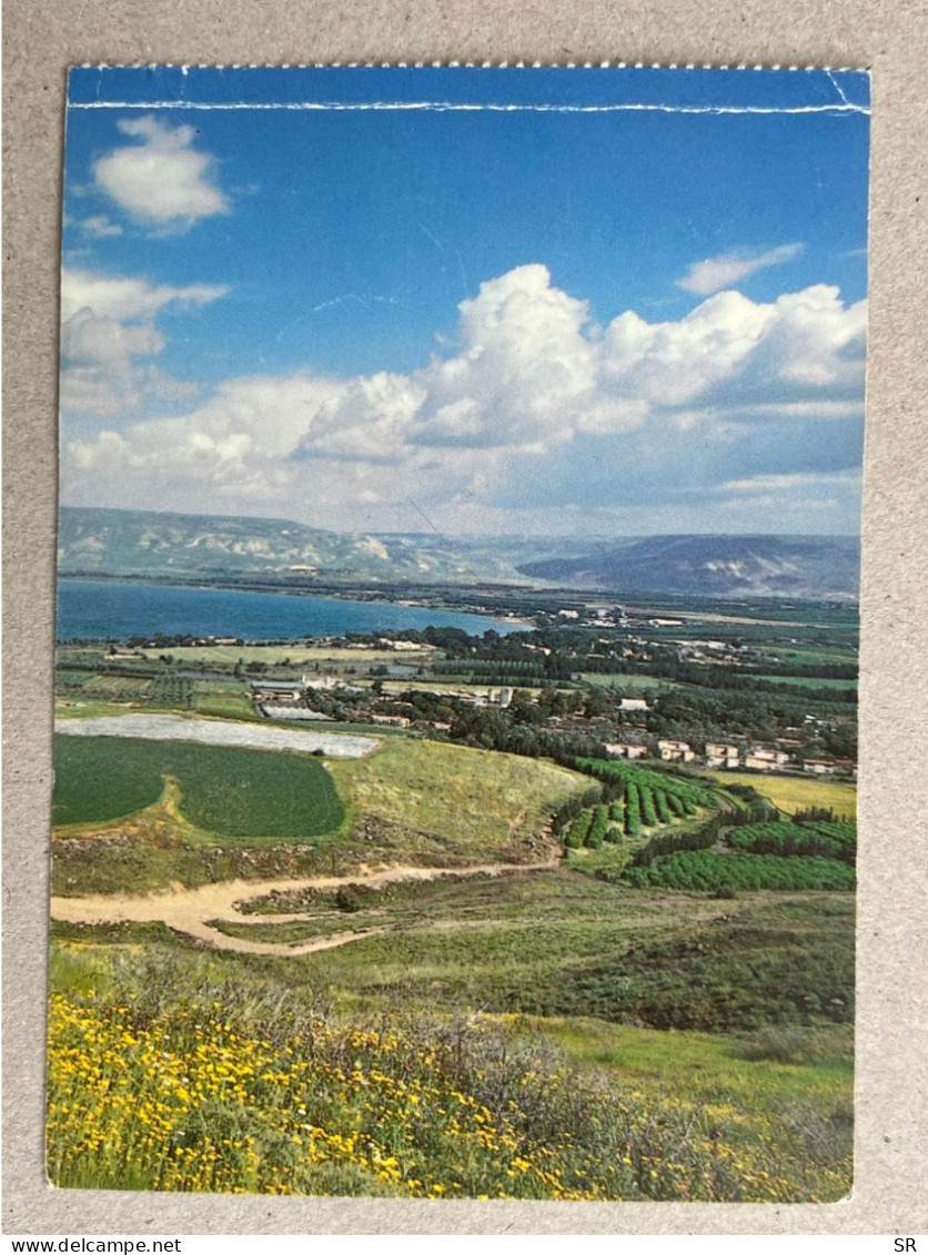 POSTCARD BY LION NO. 842 The Kinnereth, Well Known, Well-loved, Well-sung. ISRAEL - Israel