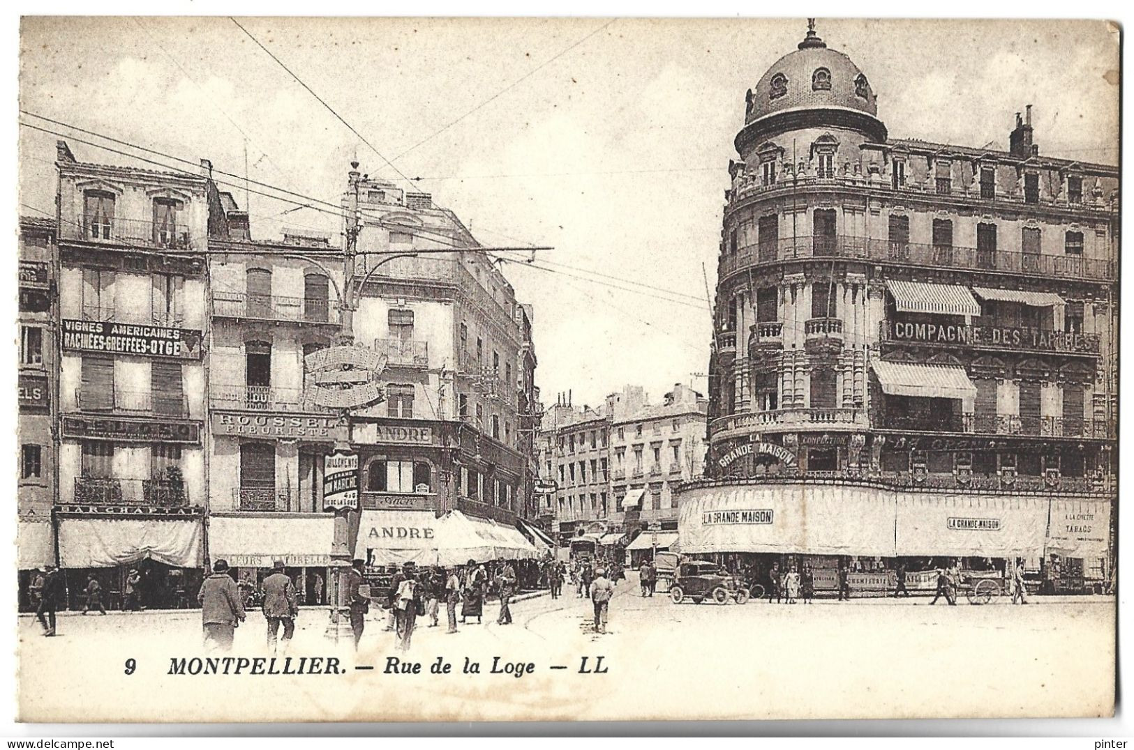 MONTPELLIER - Rue De La Loge - Montpellier