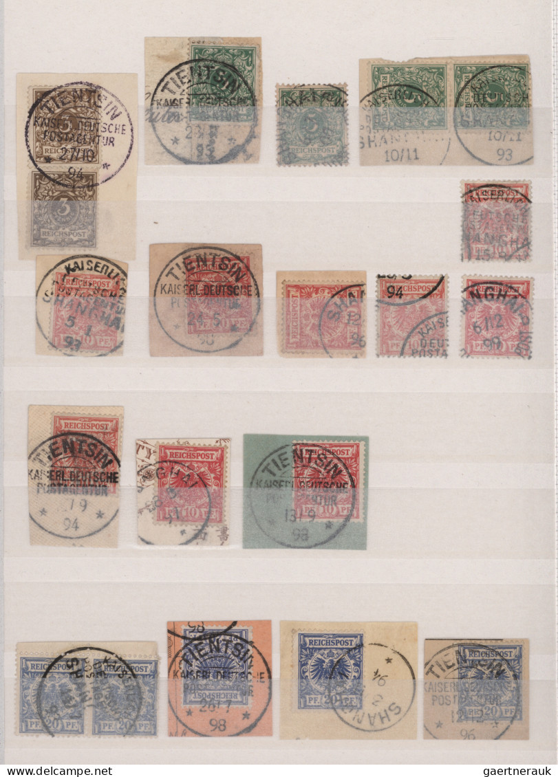 Deutsche Post In China: 1887/1917, Deutsche Post In China Sammlung In Steckalben - Chine (bureaux)