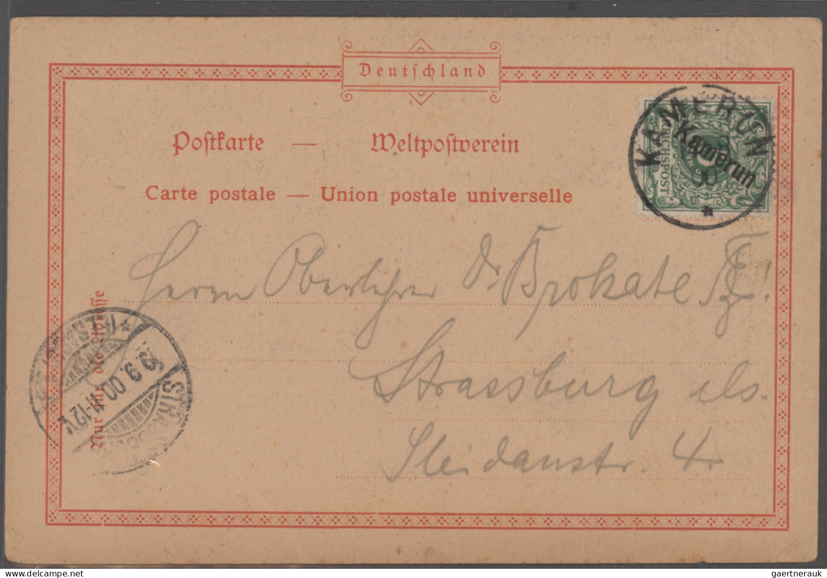 Deutsche Kolonien - Kamerun: 1887/1919, Vielseitige Sammlungspartie Auf Stecksei - Cameroun