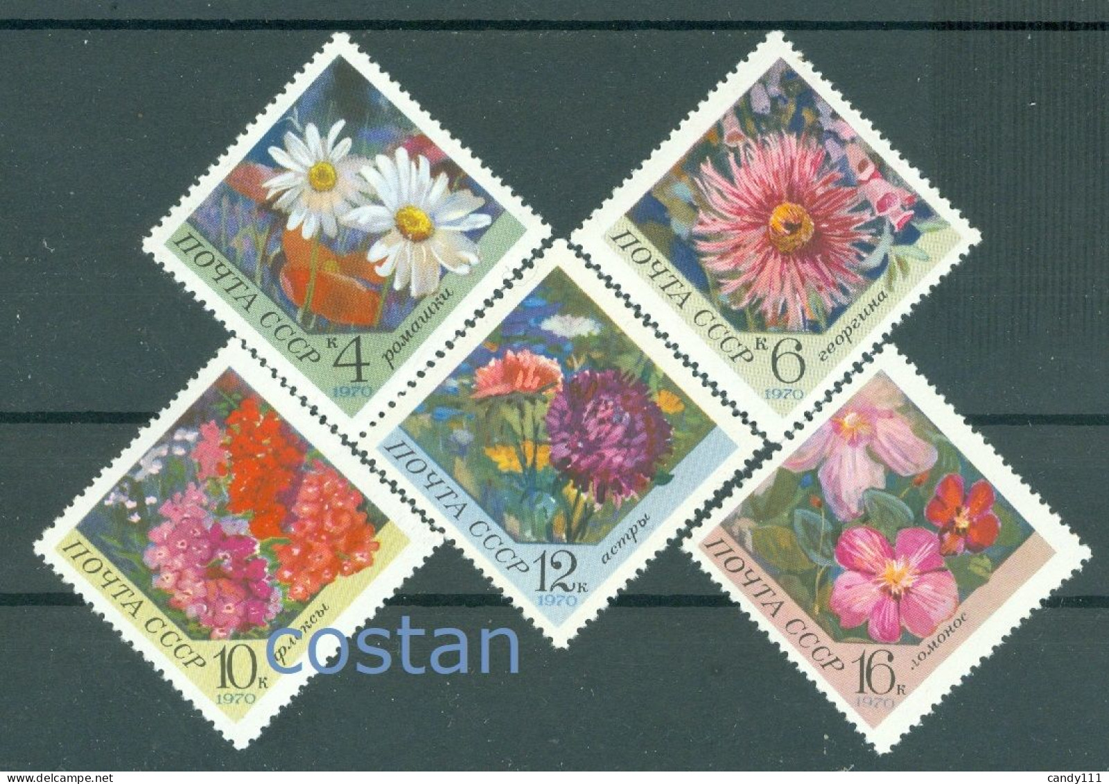 1970 Garden Flowers,Chamomile,Dahlia,Aster,Phlox,Clematis,Russia,3818,MNH - Neufs