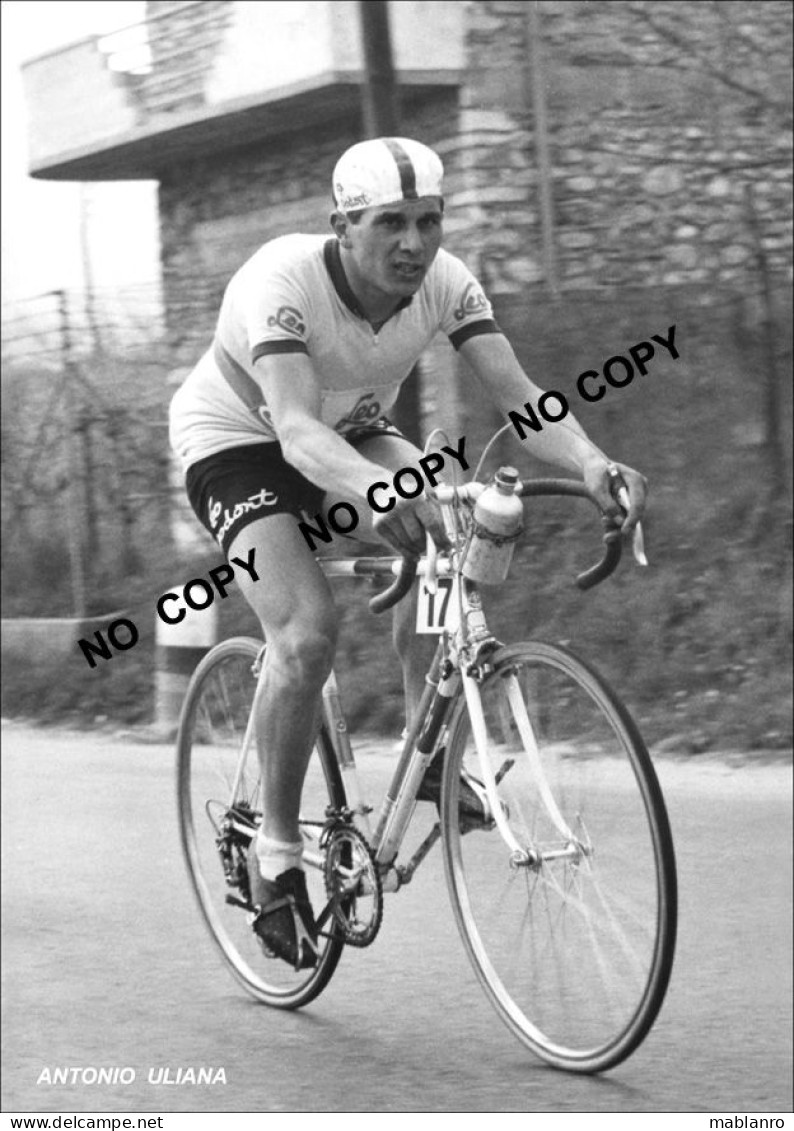 PHOTO CYCLISME REENFORCE GRAND QUALITÉ ( NO CARTE ), ANTONIO ULIANA TEAM LEO CHLORODONT 1955 - Radsport